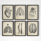 Medical posters