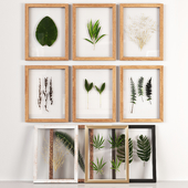Frames Set 001-With Plants