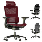 Innowin Capetown high back mesh