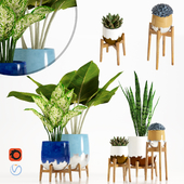 Decorative plant collection ESi 01