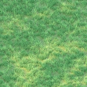 grass for landscape 04