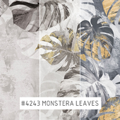 Creativille | Wallpapers | Monstera leaves 4243