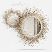Mirror Dry Grass