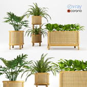 Decorative plant collection ESi 02