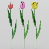 Metallic tulips