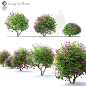 Fueng fah flower