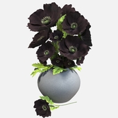 Black poppies in a vase