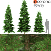Spruce tree (ель)