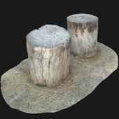 Scan of two Stumps