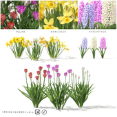 Collection of spring flowers | Spring flowers vol. 1