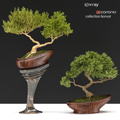 Collection bonsai03