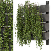 Hanging Plants in Wall Planter Box - Set 105