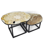 Petrified Wood Slice Coffee Tables