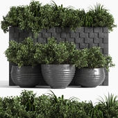 outdoor plant collection_Box