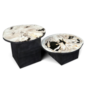 Petrified Wood Slice Coffee Tables 2