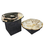 Petrified Wood Slice Coffee Tables 4