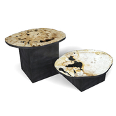 Petrified Wood Slice Coffee Tables 6
