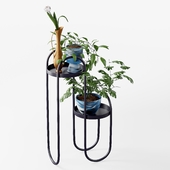 Carley tiered plant stand