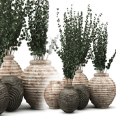 Clay Vases with Eucalyptus