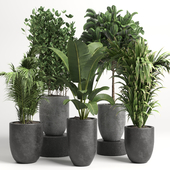 collection Indoor plant 46 vase concrete