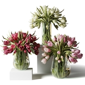 Красные, розовые и белые тюльпаны в стеклянных вазах