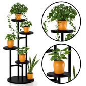 plant-stand