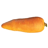 4k Морковь