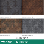 OM Seamless texture of TEGOLA shingles. BUSINESS category. Collection SARDEGNA