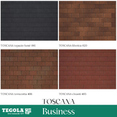OM Seamless texture of TEGOLA shingles. BUSINESS category. TOSCANA collection