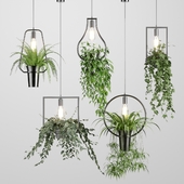 plant chandelier