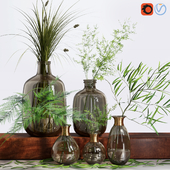 Bouquet of Indoor Grass Herb Plant Glass Vases Set