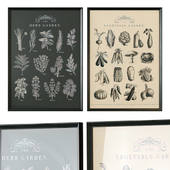 Frames with vintage botanical illustrations