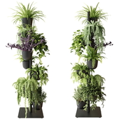 Rack with indoor plants in pots