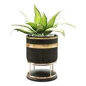 plant in vase 129