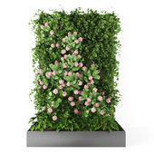 Vertical garden152