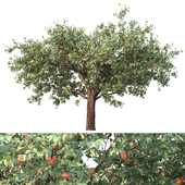 tree for landscape 22 (apple tree)