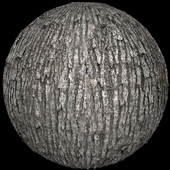 Scanned bark seamless texture 4k