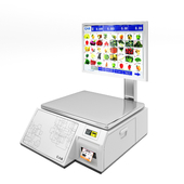 Commercial scales CAS with touch screen