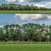 Panorama with painted trees along the road. 30k