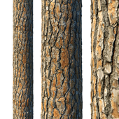 4k Pine Bark Material 03