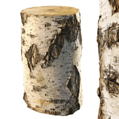 8k birch stump