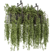 Indoor Hanging Plants in Metal Box - Set 303