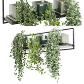 indoor plants in rusty concrete pot on metal shelf - Set 107