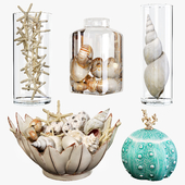 Sea shell decorative set 01