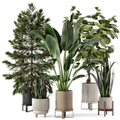 Indoor Plants in Ferm Living Bau Pot Large - Set 316