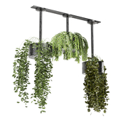 indoor hanging plants in metal box_set 135