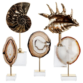 Sea shell decorative set 02