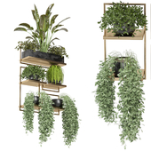 indoor plants in rusty concrete pot on metal shelf - Set 151