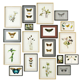 Постеры с бабочками