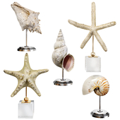 Sea shell decorative set 03